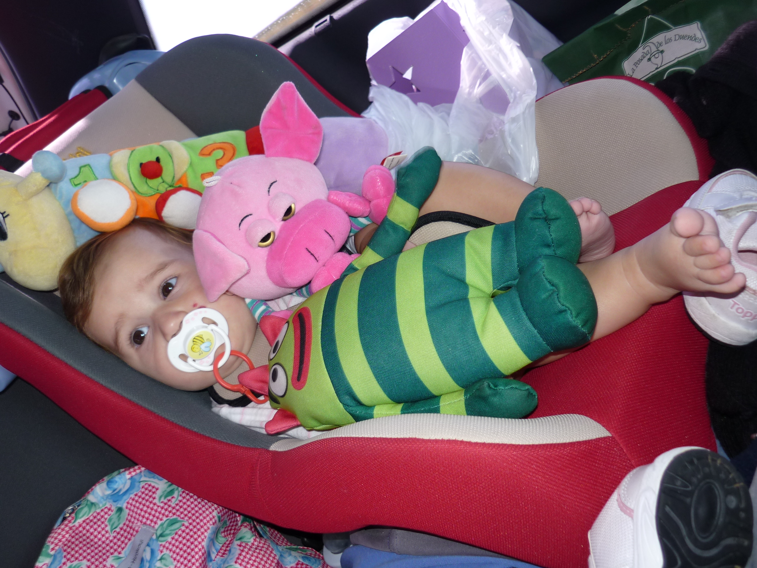 fotos/2011 - Los Reartes/P1010898.JPG